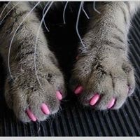 Lisa Nailgrooves Plus