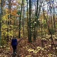 Pernille Rytter Andersen