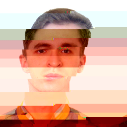 Алексей Елисеев