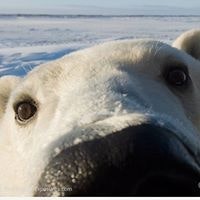 Валерий Тимошенко