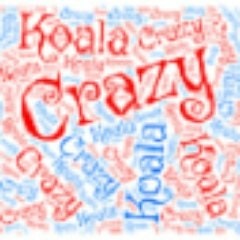 Crazy Koala