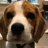 Rebecca Bliss Dirksen