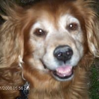 Mary Malphrus Cooper