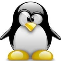 Rodrigo Diaz Linux
