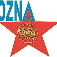 Miodrag Josif Andrejevic