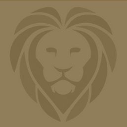 Liongate Partners [LGP]