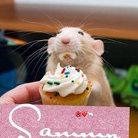 Sammy Meldrum-Lester