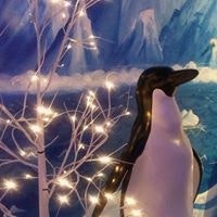 Michele Boron Bartok Demara