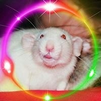 Sammy Jane Meldrum-Lester