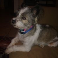 Maria Ilianna Roumpou