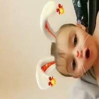 Denise Stephens Causey