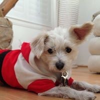 LaNeita Cuthrell Williams