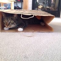 Chalae Staten Maughan