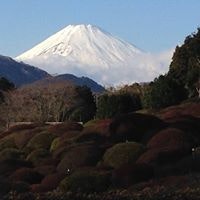 Christa Cox-Watanabe