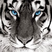 Юра Дёмочкин