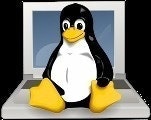 linuxnetbook