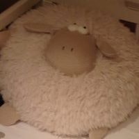 Patrick Anagnostaras