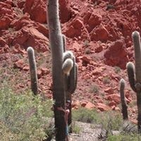 Pierre-Louis d'Argenlieu