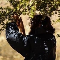 Fouad Al Moutawahesh