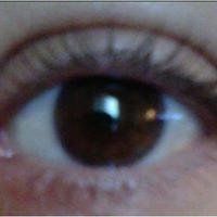 Kathy Pedaci Travels