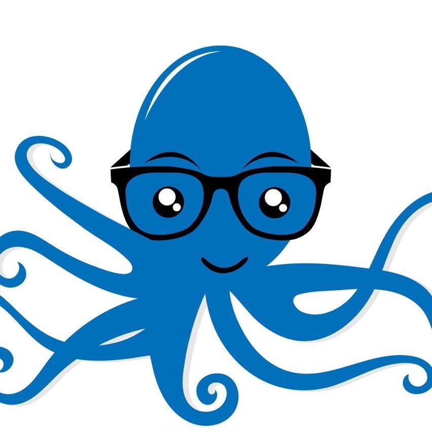 Smart Octopus SEO