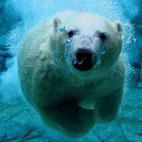 Keith Seiji Kawamura