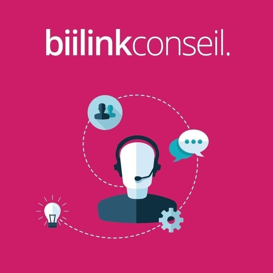 Biilink Conseil