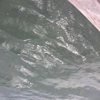 Thiruppullani Raguveeradayal