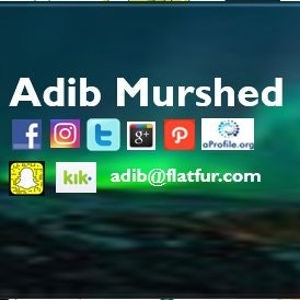 Adib Murshed
