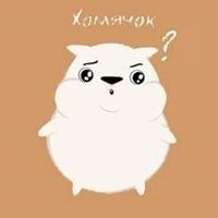 Nickolai Vladimirovich Zebrev