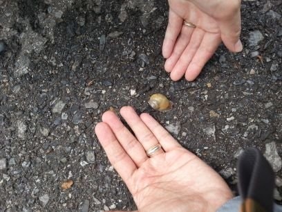 ZHANG Yu(Steven) 张宇