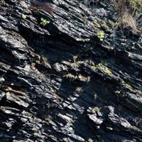 Aleksandr Bystritskiy