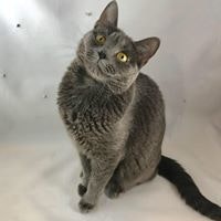 Angel Rodriguez Vega