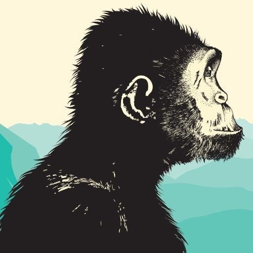 Valentina D'Efilippo