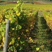 Lukas Maria Plohovits