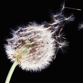 @cjd@mastodon.social