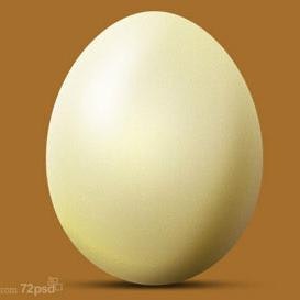 Patrick Aleite ◕‿◉