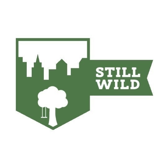 Still Wild