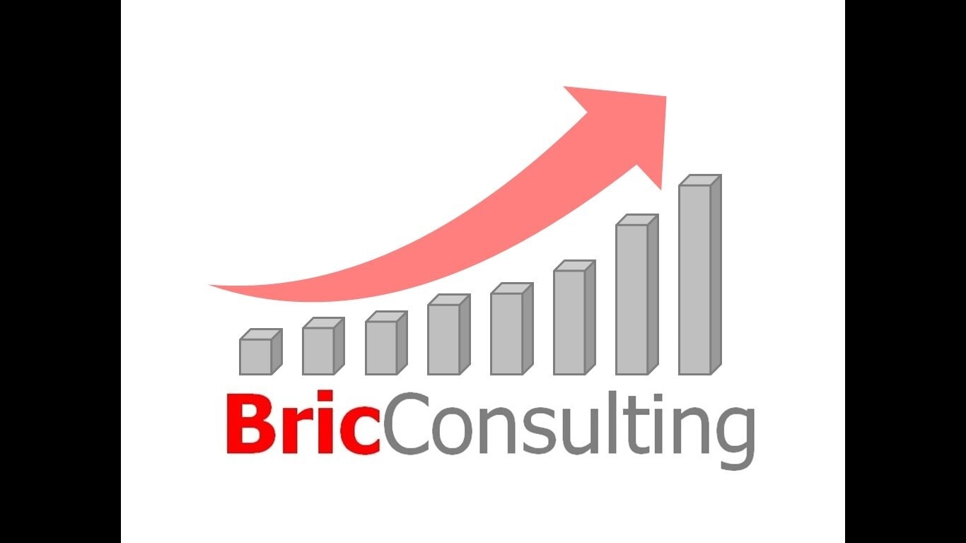 BricConsulting