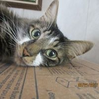 Anglerlove Fisherman