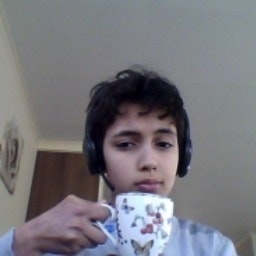 Lukas van den Dijsse