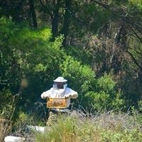 Thalassinos Filippos