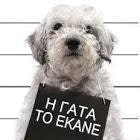 Παιδί Βιολί