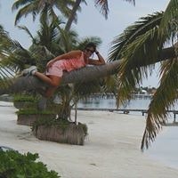 Diana Chittum O'Neill