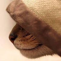 Христо Димитров