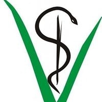 Rafael Camargo Mendes