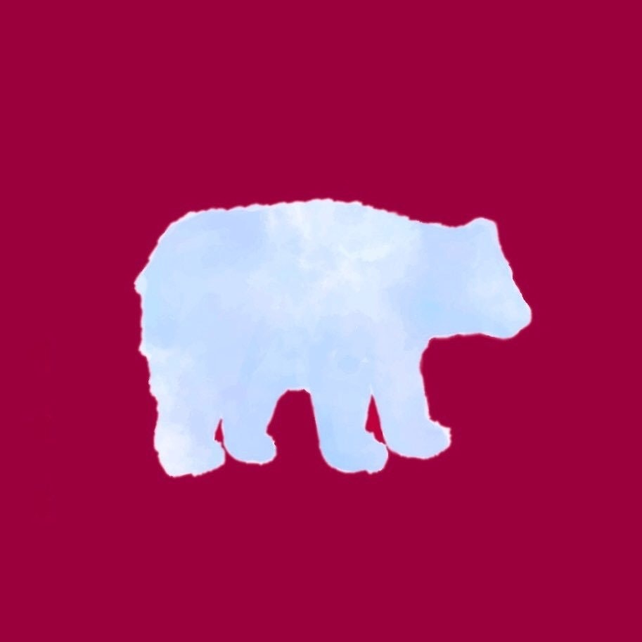 こぐまのうぶげ