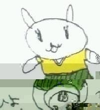 ちゃっぴ('ω')bivouac