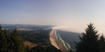 INDIE  ||  VESTMENTS