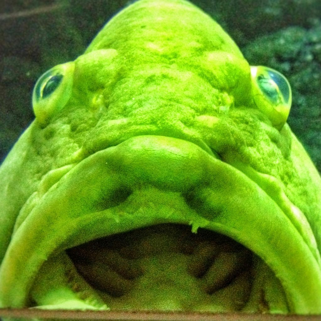 ごとう りょうすけ